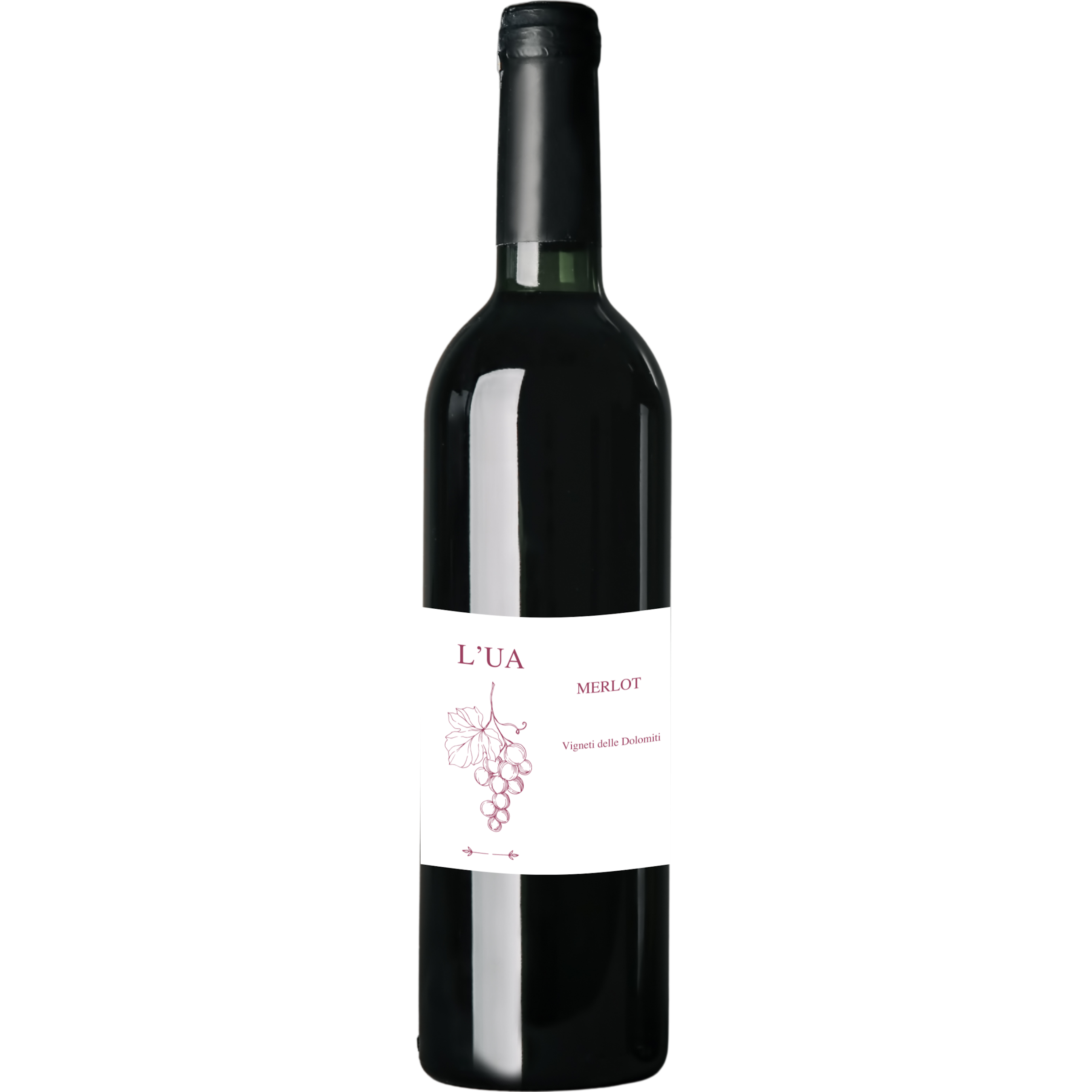 L'UA MERLOT