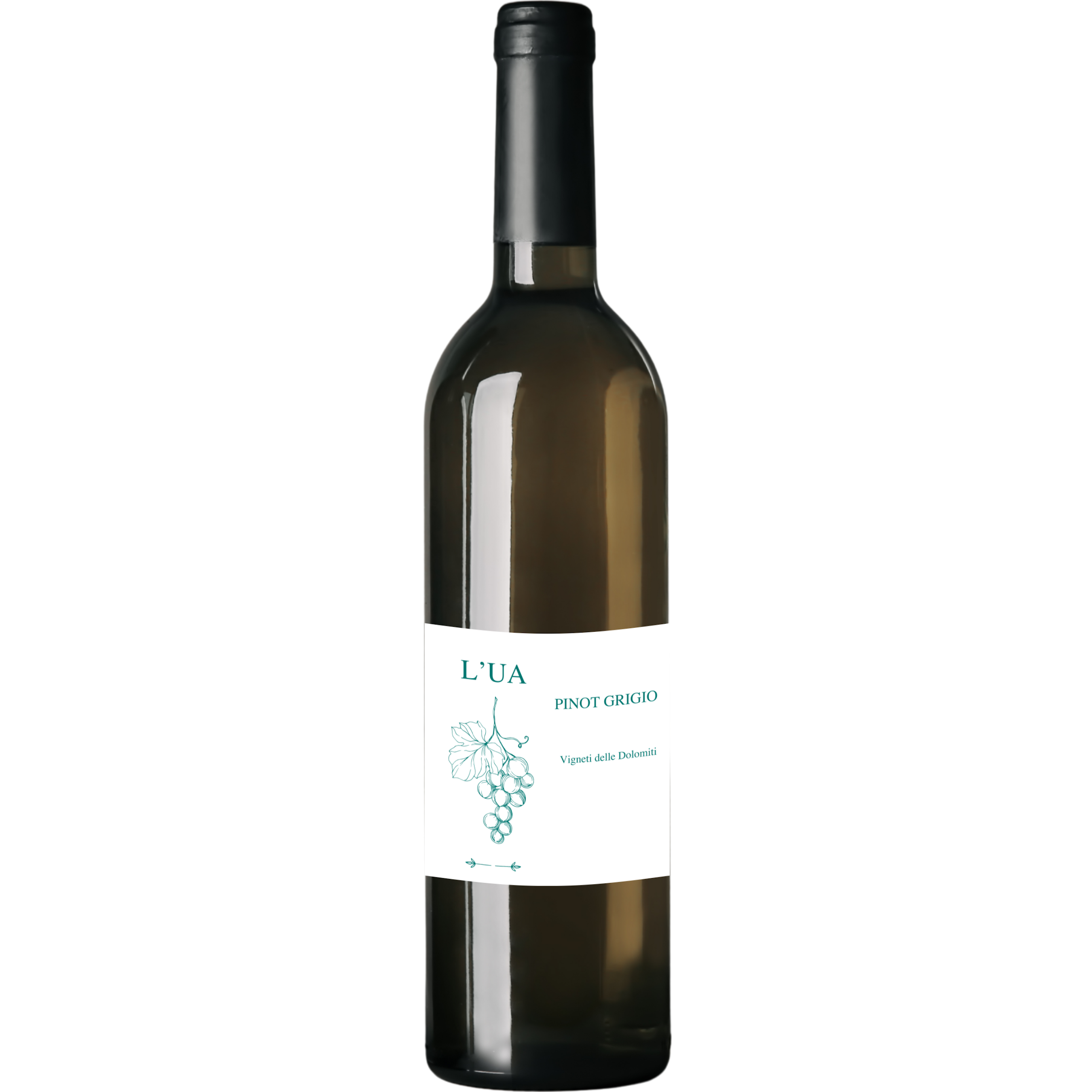 L'UA PINOT GRIGIO